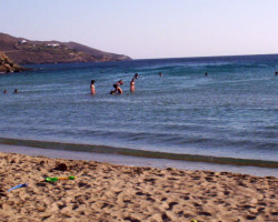 Αγκαθωπές agathopes